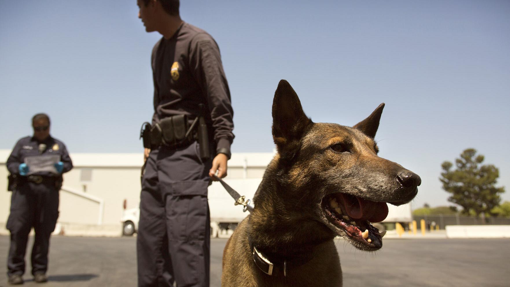 Border officials misspent migrant-care funds on dirt bikes, boats, canine units and more, GAO report says
